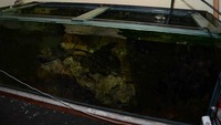 Marine Fijian Live Rock +Tank. 22 years in refugium marine aquarium. £595
