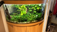 Jewel Trigon 350l fish tank only