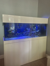 Complete 700 ltr Marine set up, gloss white cabinet