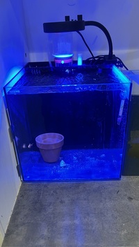 Waterbox AIO 10g - complete setup