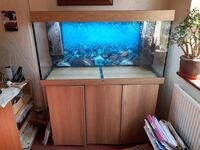 Juwel 350L aquarium with cabinet for sale with 2x fitted Juwel filter boxes-Bedfordshire