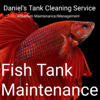 Aquarium Maintenance Service