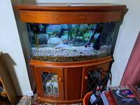 Large Tank and cabinet