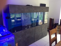 Aquarium, sump, cabinet and hood - Open to offers