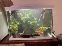 Small aquarium