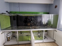 Large Fishtank 102x28x28inch 260x70x70cm