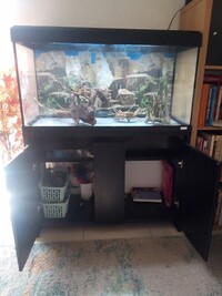 Fluval Roma 240 tank, cabinet , lighting, food.