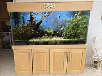 Reduced asking price 100 gallon 500 litres fully stocked tropical tank plus all the equipment for sale.