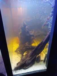 5ft cleair fish tank