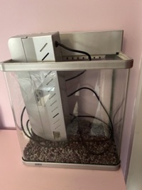 34L Curved Glass Tank with extras