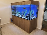 Custom sized 5.5ft aquarium approx 800ltr - £200ono