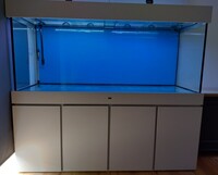 Large ND aquatics tank and cabinet