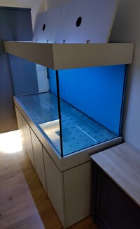 Large ND aquatics tank and cabinet