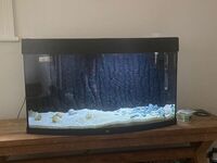 Juwel 180 Vision fishtank in black with stand