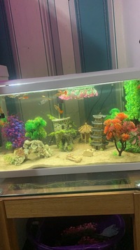 Complete 65 liter tank