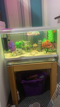 Complete 65 liter tank