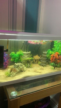 Complete 65 liter tank