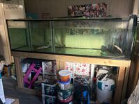 7ft fish tank & stand