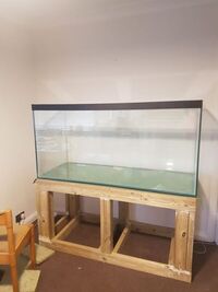 60 x 30 x 24 tank with home made stand