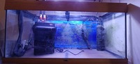 Rio 180, ilumenair 900, fluval 306 £75