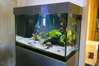 Aquariums 4 Life Aquarium and cabinet stand