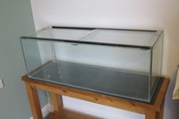 Fishtank and equipment for sale