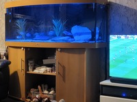 Jewel vision 450litre tank