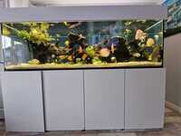 7ft x 2ft x 2ft fish tank every thing included