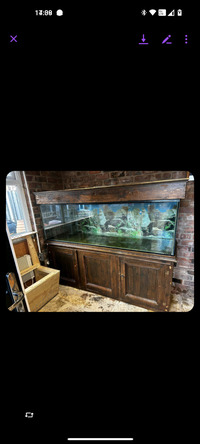 6x2x2 fish tank