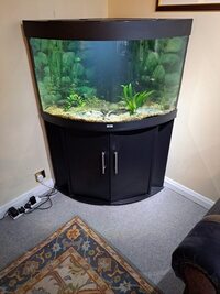 FREE TO GOOD HOME - Fully working 50 gallon fish tank and tropical fish and aquatic plants