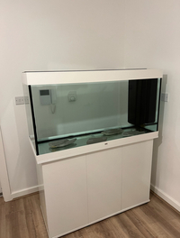 Juwel Rio 350L LED Aquarium & Cabinet – White | Excellent Condition