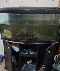 Juwel bow fronted aquarium with cabinet and lid