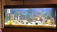 JUWEL RIO 240 AQUARIUM COMPLETE - NO STAND - £350