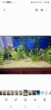 200L tank.