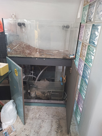 Evolution Aqua Fish tank and sump + more - 310 GBP