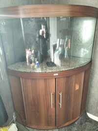 2 x corner fish tanks and stand