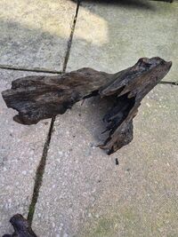 Various bog wood for sale