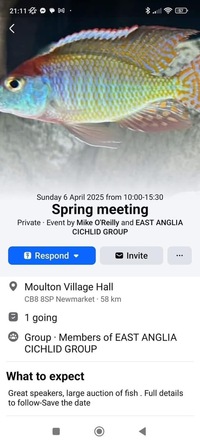 East Anglia Cichlid Group Spring Auction