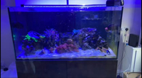 Evolution Aqua Pro Reef 1200