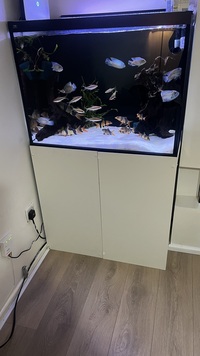 ND AQUATIC 200 LITRE FISH TANK OPTI WHITE £300