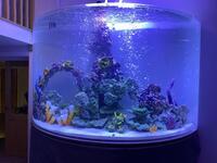 Very large acrylic fish tank for sale - £5000, transport not included