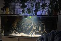 Large Aquarium