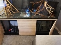 Large Aquarium