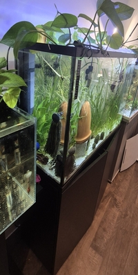 100 L tall tank