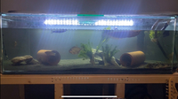 6ft fish tank for sale £160