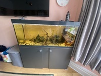Ehiem 240L Aquarium