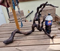 Bogwood for sale
