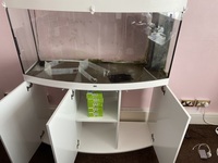 Juwel Vision 260 with cabinet white £400