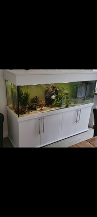 6x2x2 Aquarium set up for sale £400 CASH ONLY