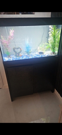Fluval 125L Tank & Cabinet